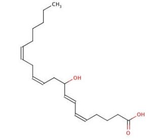 (&plusmn;)-9-HETE (CAS 79495-85-5) - chemical structure image