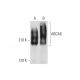 ABCA6 Antibody (F-5) - Western Blotting - Image 344476 