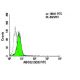 ABCG2 Antibody (5D3) - Flow Cytometry - Image 6114