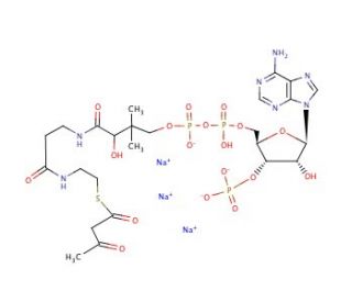 Acetoacetyl coenzyme A sodium salt (CAS 102029-52-7) - chemical structure image