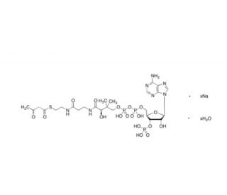 Acetoacetyl Coenzyme A Sodium Salt Hydrate (CAS 1420-36-6) - chemical structure image