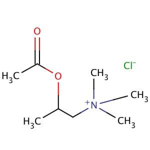 Acetyl--methylcholine chloride | CAS 62-51-1 | SCBT - Santa Cruz  Biotechnology