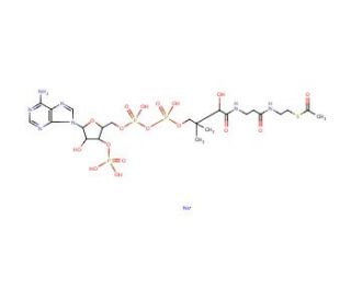 Acetyl coenzyme A sodium salt (CAS 102029-73-2) - chemical structure image