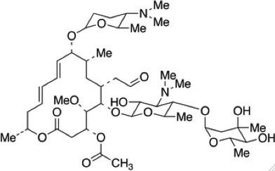 Acetyl Spiramycin Cas 51 6 Scbt Santa Cruz Biotechnology