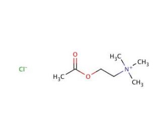 Acetylcholine chloride (CAS 60-31-1) - chemical structure image