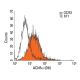 Nicotinic Acetylcholine Receptor alpha/CHRNA Antibody (D6) - Flow Cytometry - Image 11514 