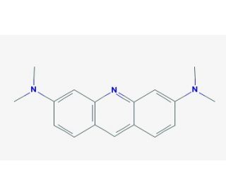 Acridine Orange Stain | CAS 494-38-2 | SCBT - Santa Cruz Biotechnology