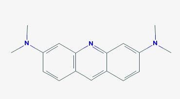 Acridine Orange Stain | CAS 494-38-2 | SCBT - Santa Cruz Biotechnology