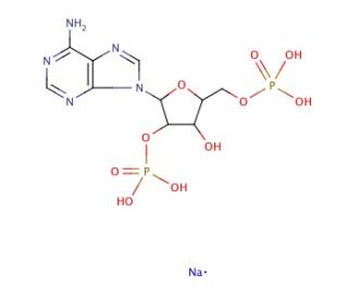 Adenosine 2&prime;,5&prime;-diphosphate sodium salt (CAS 154146-84-6) - chemical structure image