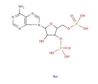 Adenosine 3&prime;,5&prime;-diphosphate disodium salt (CAS 75431-54-8) - chemical structure image
