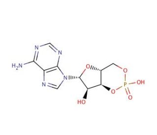 Adenosine 3&prime;,5&prime;-cyclic monophosphate (CAS 60-92-4) - chemical structure image