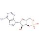 Adenosine 3′,5′-cyclic monophosphate (CAS 60-92-4) - chemical structure image