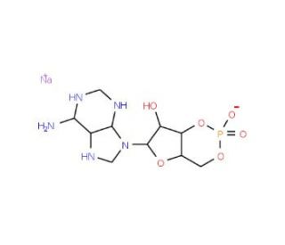 Adenosine 3&prime;,5&prime;-cyclic monophosphate sodium salt monohydrate (CAS 37839-81-9) - chemical structure image
