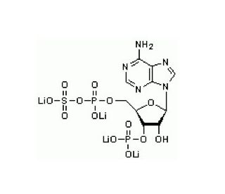 Adenosine 3&prime;-Phosphate 5&prime;-Phosphosulfate, Tetralithium Salt (CAS 102029-54-9) - chemical structure image