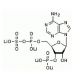 Adenosine 3′-Phosphate 5′-Phosphosulfate, Tetralithium Salt (CAS 102029-54-9) - chemical structure image