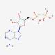 Adenosine 5′-(α,β-methylene)diphosphate, sodium salt solution (CAS 104835-70-3) - chemical structure image