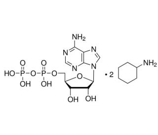 Adenosine 5&prime;-diphosphate bis(cyclohexylammonium) salt (CAS 102029-87-8) - chemical structure image