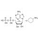Adenosine 5′-diphosphate bis(cyclohexylammonium) salt (CAS 102029-87-8) - chemical structure image