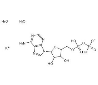 Adenosine 5&prime;-Diphosphate Potassium Salt (CAS 72696-48-1) - chemical structure image