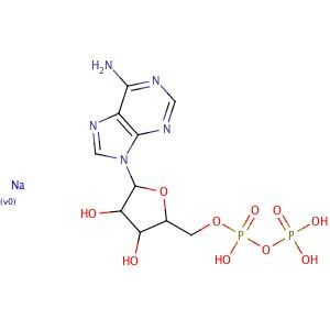 Adenosine 5 Diphosphate Sodium Salt Cas 20398 34 9 Scbt Santa Cruz Biotechnology