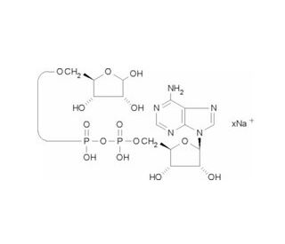 Adenosine 5&prime;-diphosphoribose sodium salt (CAS 68414-18-6) - chemical structure image