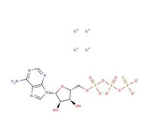 Adenosine 5&prime;-[&gamma;-thio]triphosphate tetralithium salt (CAS 93839-89-5) - chemical structure image