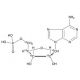 Adenosine 5′-Monophosphate-13C5 (CAS 61-19-8) - chemical structure image