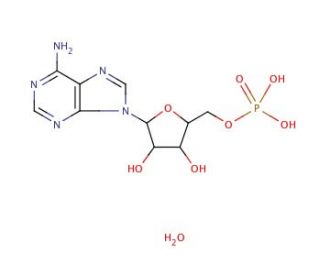 Adenosine 5&prime;-monophosphate monohydrate (CAS 18422-05-4) - chemical structure image