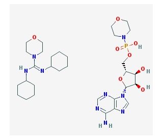 Adenosine 5&prime;-monophosphomorpholidate 4-morpholine-N,N&prime;-dicyclohexylcarboxamidine salt (CAS 24558-92-7) - chemical structure i
