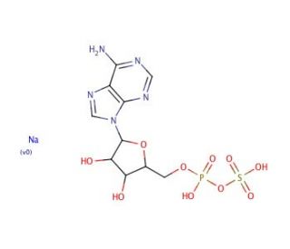 Adenosine 5&prime;-phosphosulfate sodium salt (CAS 102029-95-8) - chemical structure image
