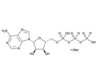 Adenosine 5&prime;-Triphosphate, disodium salt (CAS 987-65-5) - chemical structure image