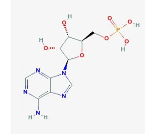 Adenosine phosphate (Vitamin B8) (CAS 61-19-8) - chemical structure image