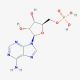 Adenosine phosphate (Vitamin B8) (CAS 61-19-8) - chemical structure image