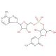 Adenylyl(3′ 5′)cytidine (CAS 2382-66-3) - chemical structure image