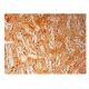 ADH8 Antibody (F-9) - Immunohistochemistry - Image 301856