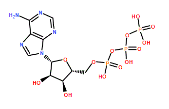 Adenosine Diphosphate Formula