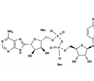 ADP-ribose-pNP - chemical structure image