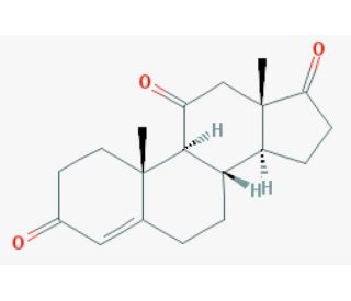 Adrenosterone (CAS 382-45-6) - chemical structure image