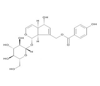 Agnuside (CAS 11027-63-7) - chemical structure image