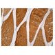 immunohistochemistry image from recommended AK1 (E-8) monoclonal antibody replacement. Image 161029