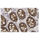 AKAP 79 Antibody (D-9) - Immunohistochemistry - Image 13313 