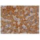 Aldehyde dehydrogenase 4-A1/P5CDH/ALDH4A1 Antibody (C-12) - Immunohistochemistry - Image 344649