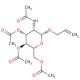 Allyl 2-Acetamido-3,4,6-tri-O-acetyl-2-deoxy-β-D-glucopyranoside (CAS 28738-44-5) - chemical structure image