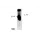 western blotting image from recommended α-2M (H-8) monoclonal antibody replacement. Image 289580