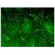 Alpha 4 Antibody (C-5) - Immunofluorescence - Image 301873 