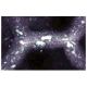 α-Dystrobrevin Antibody (23) - Immunofluorescence - Image 60719