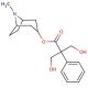 α-Hydroxymethyl Atropine - chemical structure image