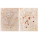 α-internexin Antibody (2E3) - Immunohistochemistry - Image 67332 