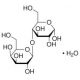 α-Lactose monohydrate (CAS 5989-81-1) - chemical structure image