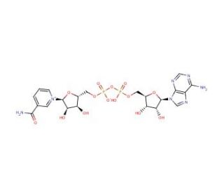 &alpha;-Nicotinamide adenine dinucleotide (CAS 7298-93-3) - chemical structure image